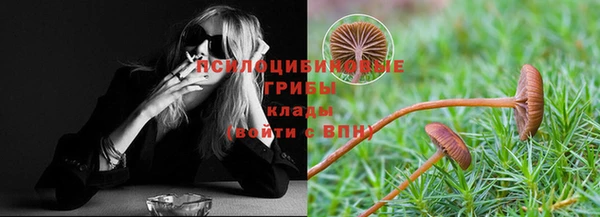 твердый Иннополис