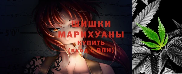 твердый Иннополис