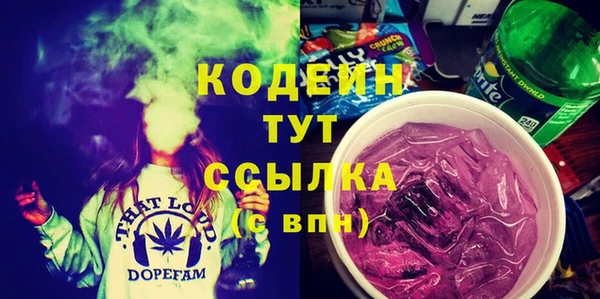 твердый Иннополис