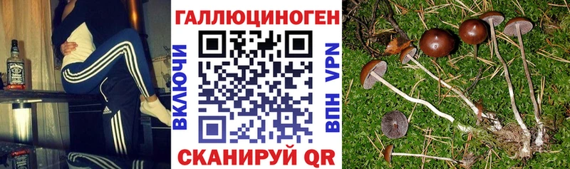 Псилоцибиновые грибы мухоморы  Купить  Жуков 